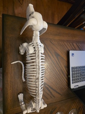 Guest review image 1 of 2, zoom in