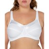 Fruit of the Loom Women's Seamed Soft Cup Wirefree Cotton Bra 2-Pack - image 2 of 4