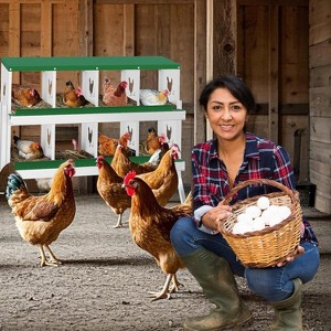 GustoWave  Chicken Nesting Box Nesting Boxes - 1 of 4