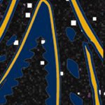 west virginia mountaineers