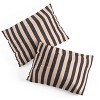 Deny Designs 2pc Twin/Twin XL Daniel Coulmann Stripes 001 P Basaltic Duvet and Sham Set - 4 of 4