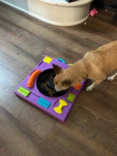 DJ Disc Player Puzzle Toy for Dogs – Fit & Go Pets