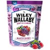 Wiley Wallaby Licorice 10oz 3-Pack – Watermelon, Classic Red & Blasted Berry – Soft, Chewy & Full of Flavor! - 3 of 4