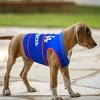 MLB Los Angeles Dodgers Soothing Solution Pets Vest - image 3 of 4