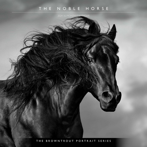 noble horse