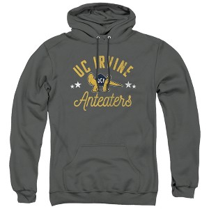 University of California Irvine Official Anteaters Adult Pull-Over Hoodie - 1 of 4