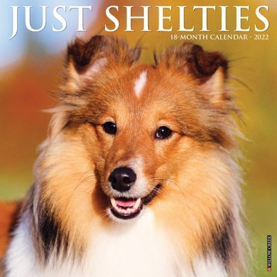 2022 Wall Calendar Just Shelties - Willow Creek Press