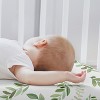 Sweet Jojo Designs Boy, Girl, Gender Neutral Baby Bassinet Fitted Sheets Set Botanical Green and White 2pc - 3 of 4