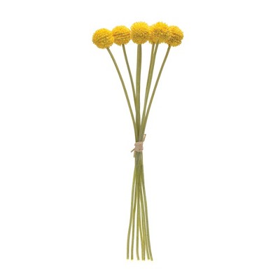 Yellow and Green Plastic Pod Bundle Set of 6