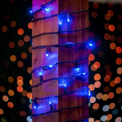 25-Foot Blue LED Christmas Tree Lights with Black Wire