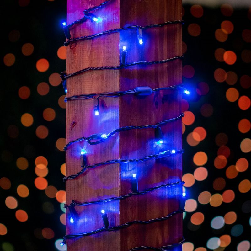 Novelty Lights 50 Light LED Christmas Mini Light Set (Black Wire, 11 Feet), 4 of 7