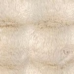 jeni beige