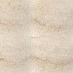 jeni beige