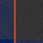 edmonton oilers