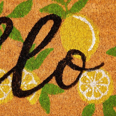 Hello Lemon Outdoor Coir Doormat with Rubber Backing, 17x30 in