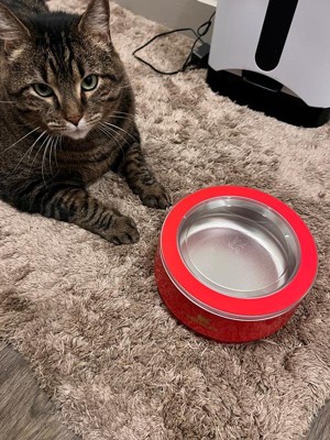 Guest review image 3 of 5, zoom in