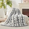 Amelie Home Reversible Plush Knit Throw Blanket - Soft & Cozy Feather Yarn Design - 2 of 4