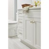 Amerock Davenport Cabinet or Furniture Knob - 3 of 4
