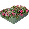 Gulches 48x36x12in Green Galvanized Raised Garden Bed with Anti-Rust Coating - 2 of 4