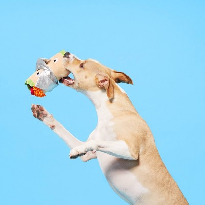 bebe the burrito dog toy