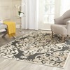 Paradise PARB348 Power Loomed Area Rug - Stone/Anthracite - 3'3"x4'7" - Safavieh - 2 of 4