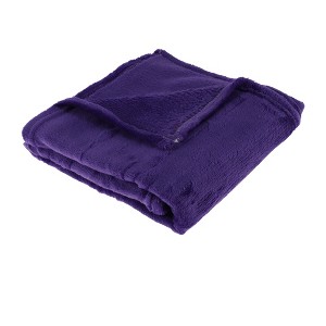 Unique Bargains Blanket Simple Coral Fleece 39"x28" - 1 of 4