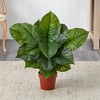 Nearly Natural Large Leaf Philodendron Silk Plant (Real Touch) - image 3 of 3