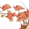 Studio 55D Potted Faux Artificial Flowers Realistic Orange Orchid in Gray Ceramic Pot with Riser for Home Decoration 22 1/2" High - 2 of 4