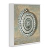 Stupell Industries Spiral Shell Beach Objects Design, 24" x 24" - 3 of 4