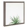 16"x16" Succulent Simplicity I Neutral Framed Canvas Wall Art - Amanti Art: Haworthia Fasciata Botanical Decor - 2 of 4