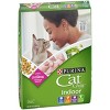 Purina cat best sale chow target