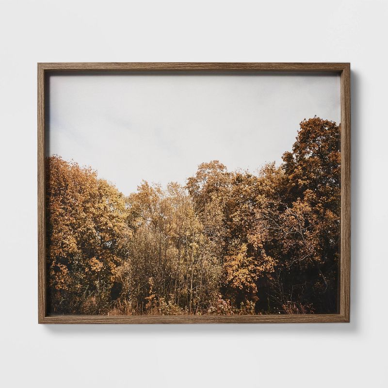 36&#34; x 30&#34; Golden Forest Framed Wall Art - Threshold&#8482; designed with Studio McGee, 1 of 5