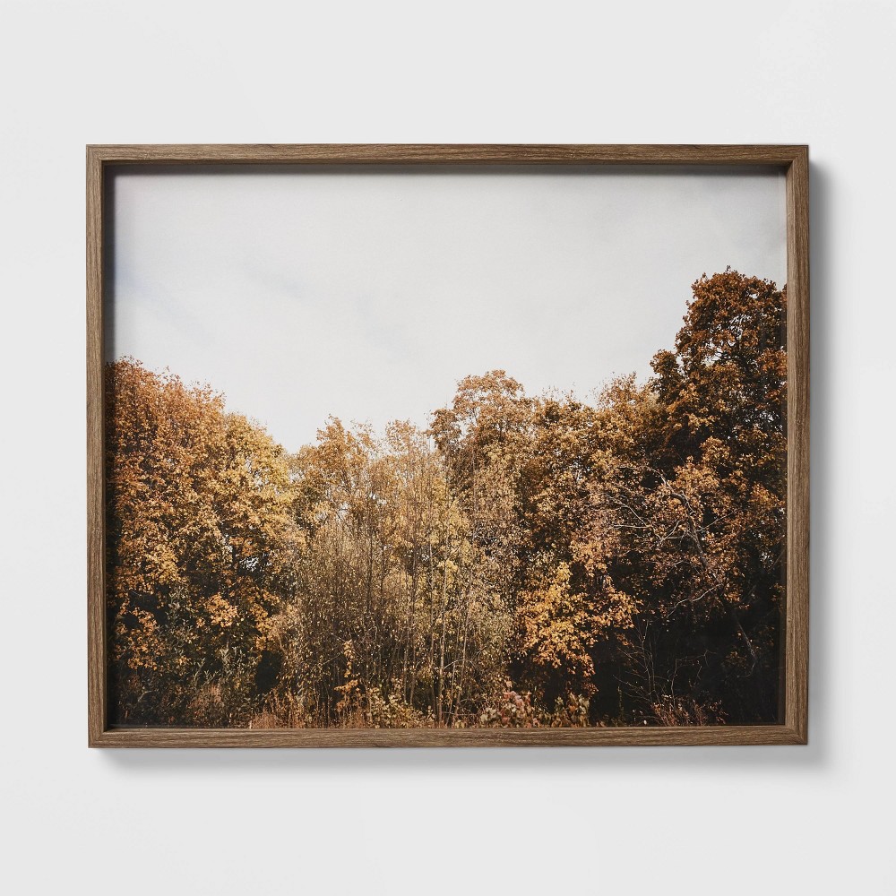 Photos - Wallpaper 36" x 30" Golden Forest Framed Wall Art - Threshold™ designed with Studio