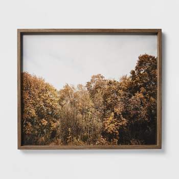 36" x 30" Golden Forest Framed Wall Art - Threshold™ designed with Studio McGee