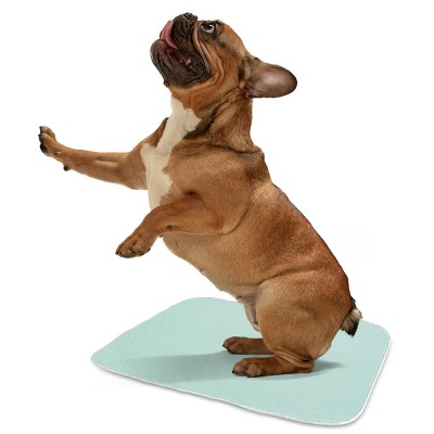Quick-Dry Reusable Green Polyester Bed Pads, 34" x 36", Set of 12