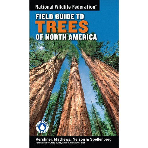 North Woods Field Guides Fly Fishing Field Guide BRK-NWG001FFG