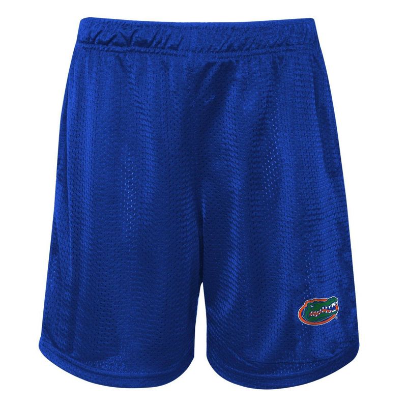 NCAA Florida Gators Toddler Boys&#39; T-Shirt &#38; Shorts Set, 3 of 4