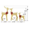 Karl Home  2D Lighted Deer Family Set of 3 Christmas Decoration - 4 of 4