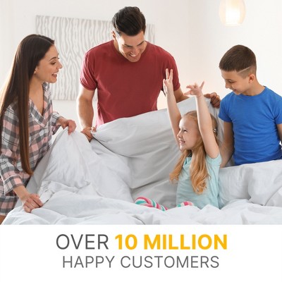 White Queen Reversible Microfiber Down Alternative Comforter