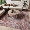 Nourison New Concept Washables Vintage Indoor Area Rug - 4 of 4