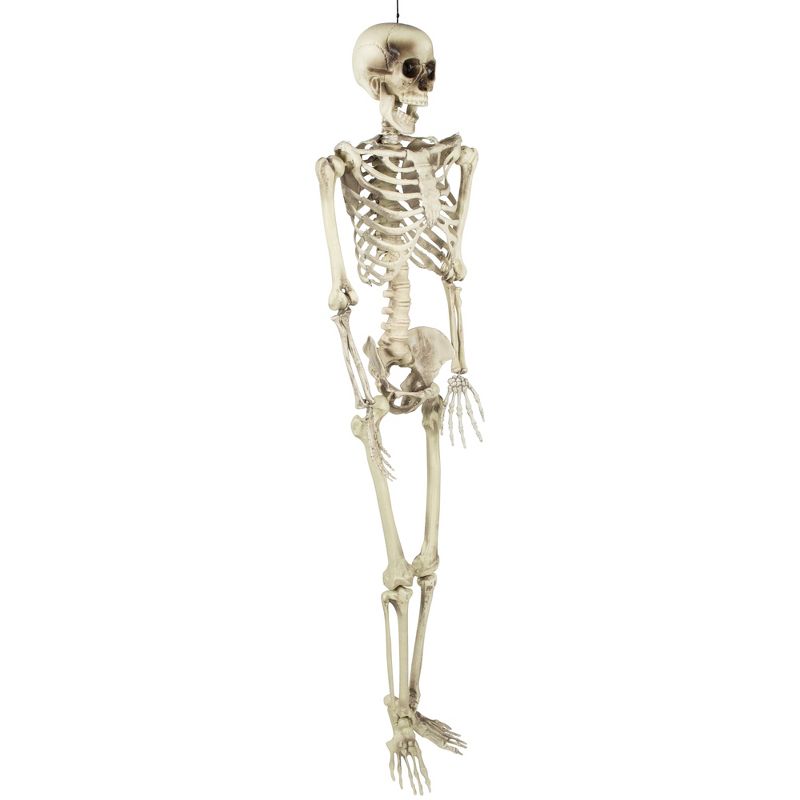 Northlight 5' Life Size Skeleton Indoor/Outdoor Halloween Decoration - White/Gray, 4 of 7