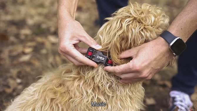 DDOXX Reflective Airmesh Dog Collar - Small - Green, 2 of 6, play video