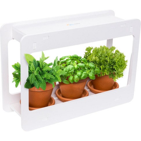 and Vegetables at Home Mini Window Planter Kit for Herbs White Succulents Mindful Design LED Indoor Herb Garden 
