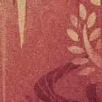 clear push pins bundle