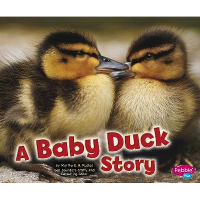 A Baby Duck Story - (Pebble Plus: Baby Animals) by  Martha E H Rustad (Paperback)