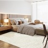 Coucheta Runner Rug Plush Faux Lamb Wool Carpet Machine Washable Non-Slip Foldable for Hallway Kitchen, Multi-Color & Size - 3 of 4