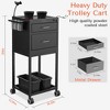 TASALON Lockable Metal Salon Trolley Cart with 2 Magnetic Bowls, Mobile Hair Stylist Station for Tools Storage - Black - 2 of 4