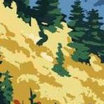 clear push pins bundle