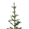 Northlight 5.25 FT Green Ponderosa Pine Artificial Christmas Tree with Jute Base- Unlit - 3 of 4