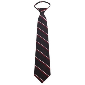 Men's Stripe 3.25 Inch W And 20 Inch L Zipper Neckties - 1 of 3